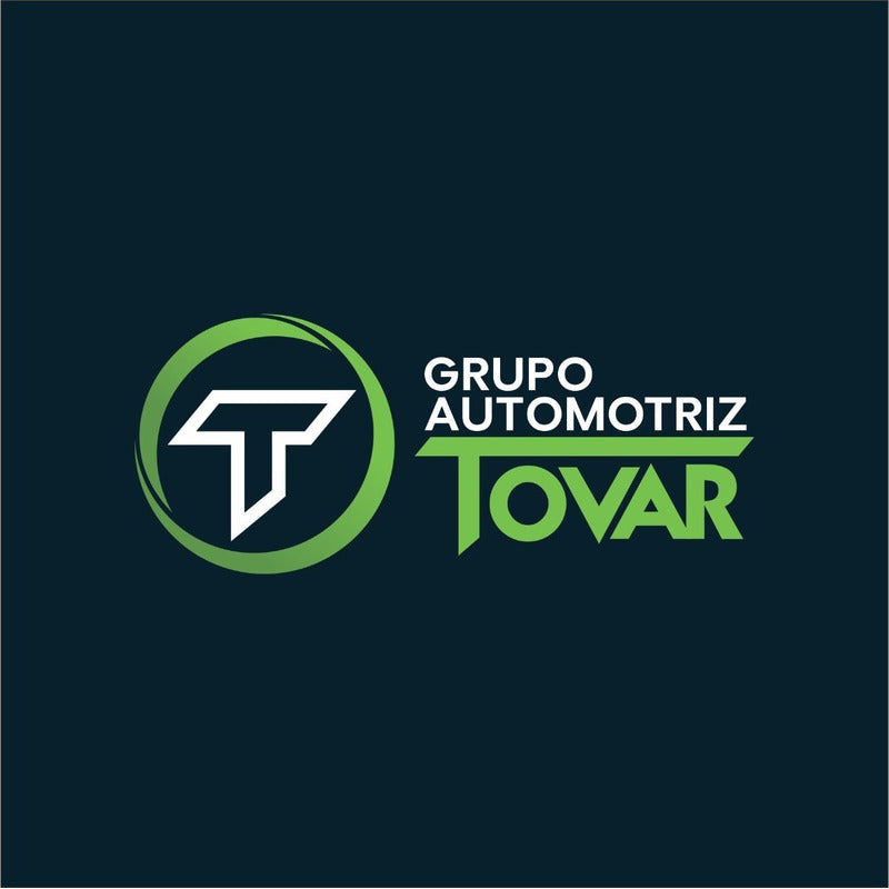 Pastillas Freno Traseras Para Hyundai Santa Fe (06-10)